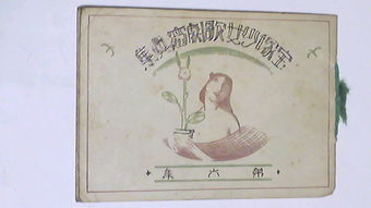 从代购到二手市场 全面解析日本印刷品获取与价格策略